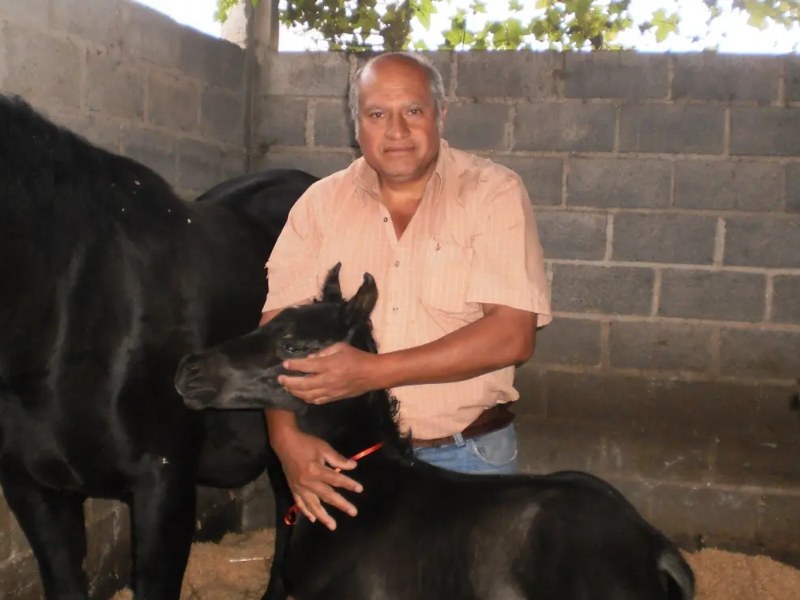 Identificación Gráfica